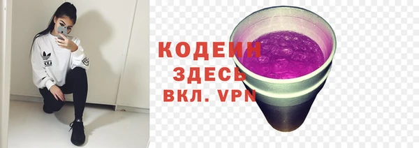 СК Волоколамск