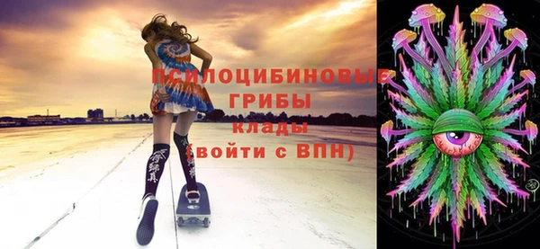 СК Волоколамск